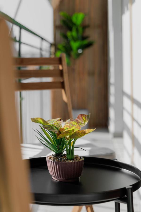 Sunny & Modern Apt For 3 Persons Αθήνα Εξωτερικό φωτογραφία